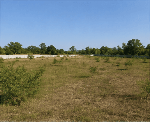 Property View 1