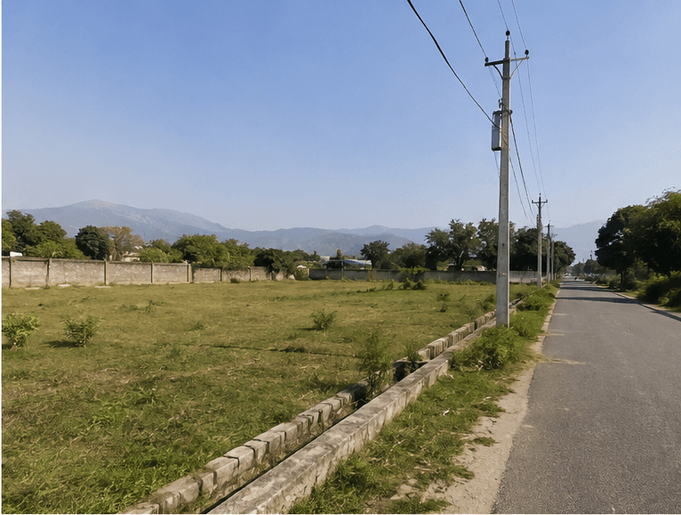 Property View 3