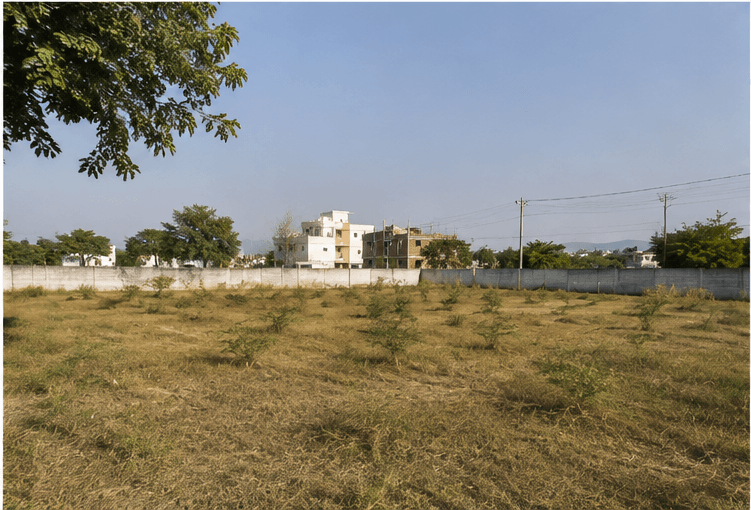 Property View 4